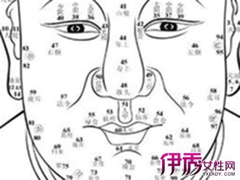 鼻子上有痣|面相：鼻子有痣，是代表破财？还是旺财？